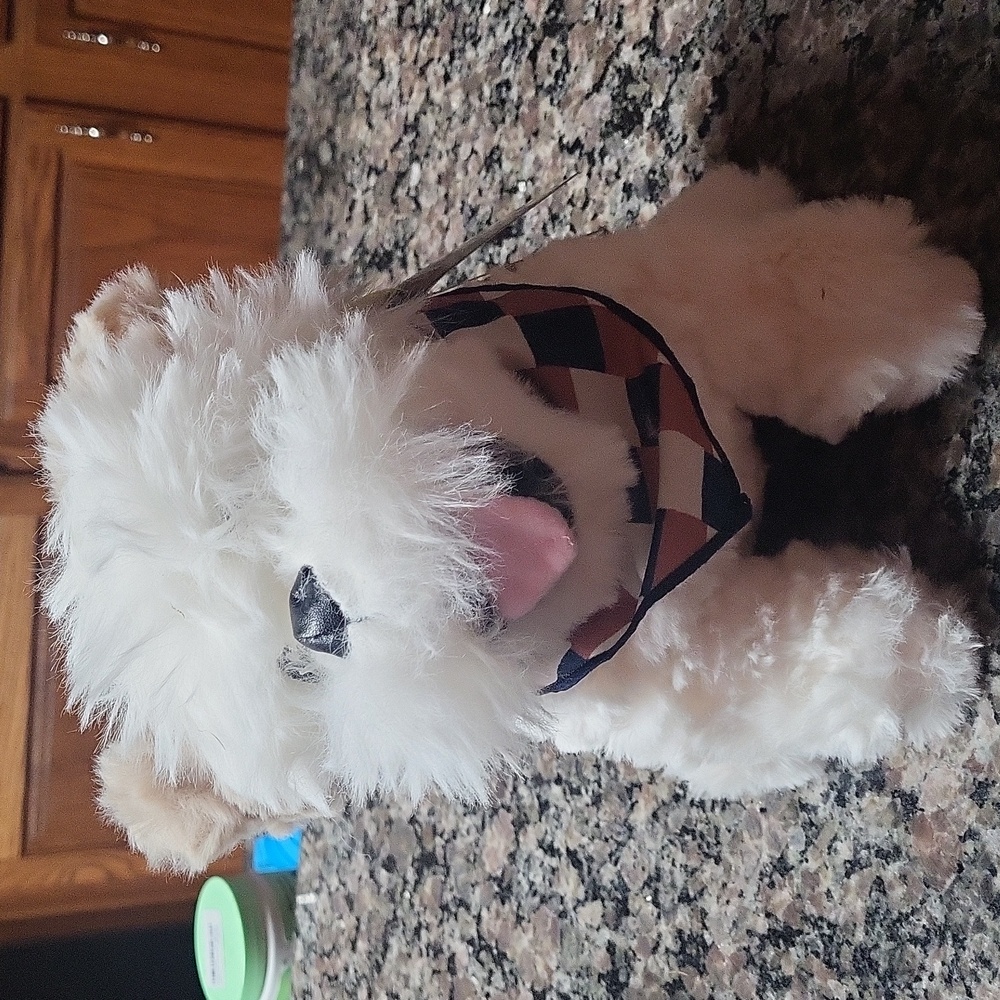 The CUDDLE COLLAB POPEYE PLUSH new dog toy new with tags SUPER CUTE!!